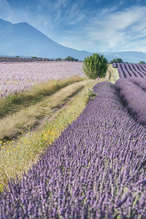 Gite Le Val Zen Valaurie - Drome Provencale Exteriör bild